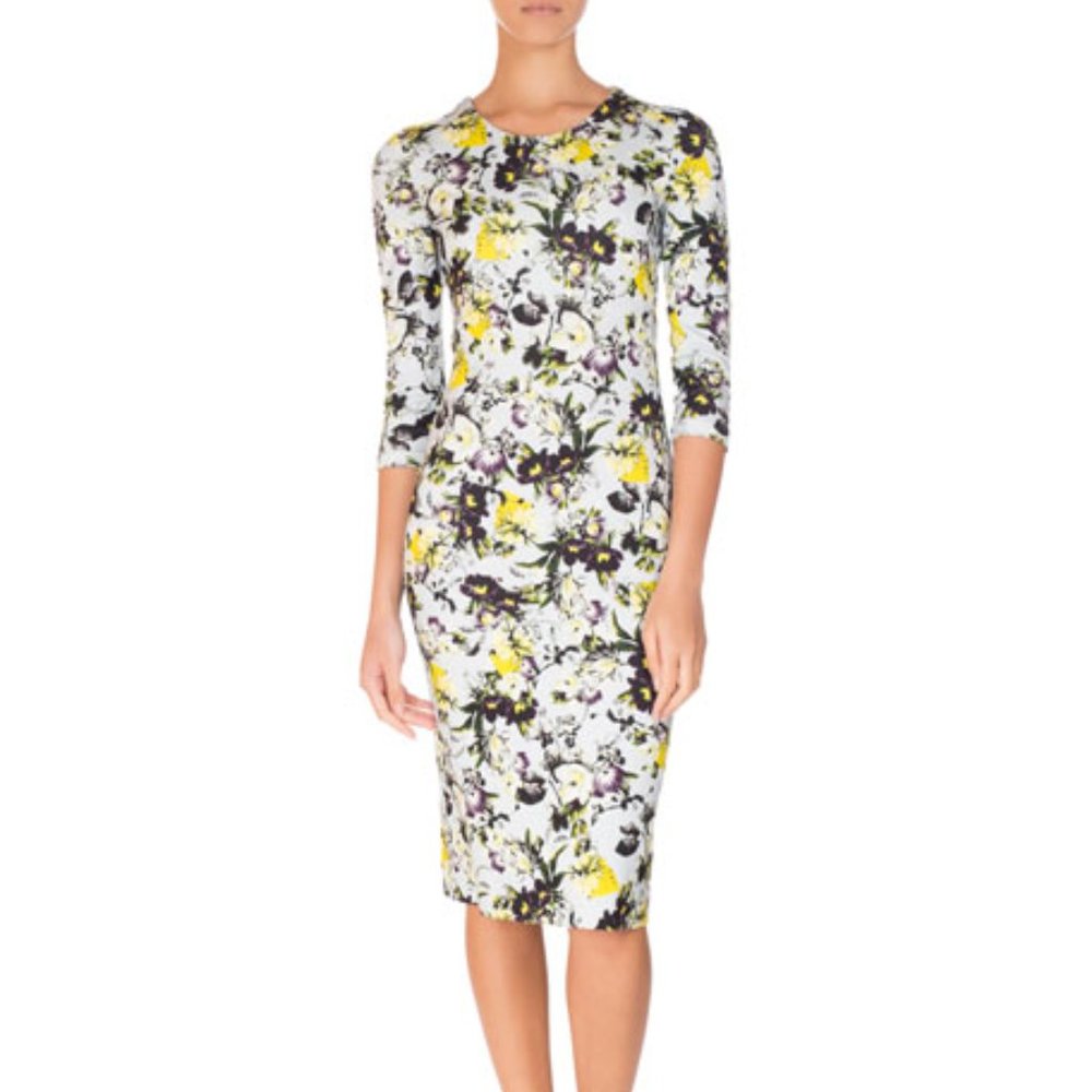 ERDEM Size 6 Floral Allegra Midi Knee Length Dress 3/4 Sleeve
